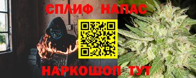 стаф Майкоп