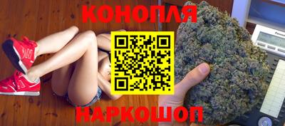 стаф Майкоп