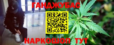 стаф Майкоп